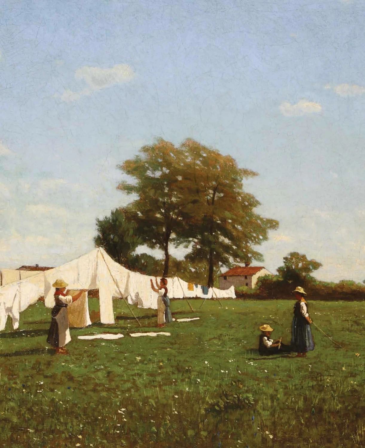 Panni al sole - dettaglio